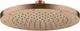 AXOR-HG-AXOR-ShowerSolutions-Kopfbrause-245-1jet-EcoSmart-Brushed-Red-Gold-35389310 gallery number 1